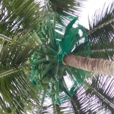 Secure Netting Safety Nets - Coconut Tree Nets in Anantapur, Kadapa, Kurnool