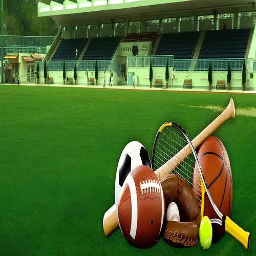 Secure Netting's Sports Infrastructure Services in Hyderabad, Warangal, Khammam, Suryapet, and Entire Telangana